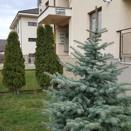 Jolly Apartment شقة *